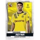 Giovanni Reyna Borussia Dortmund 108