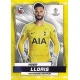 Hugo Lloris Common Tottenham Hotspur 29