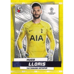 Hugo Lloris Common Tottenham Hotspur 29