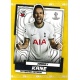 Harry Kane Common Tottenham Hotspur 36
