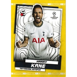 Harry Kane Common Tottenham Hotspur 36