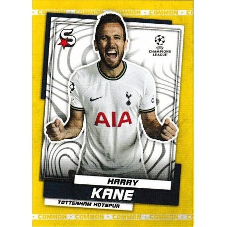 Harry Kane Common Tottenham Hotspur 36