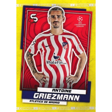 Antoine Griezmann Common Atlético Madrid 63