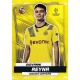 Giovanni Reyna Common Borussia Dortmund 108