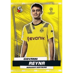 Giovanni Reyna Common Borussia Dortmund 108