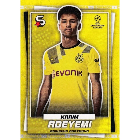 Karim Adeyemi Common Borussia Dortmund 110