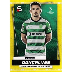 Pedro Gonçalves Common Sporting Portugal 147