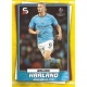 Erling Haaland Photo Variation Manchester City 10
