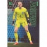 Sale Cards Jordan Pickford England Panini Top Class Adrenalyn XL 2023