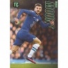 Offer Soccer Cards Mason Mount Chelsea Panini Top Class Adrenalyn XL 2023