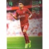 Buy Cards Luis Diaz Liverpool Top Class Adrenalyn XL 2023