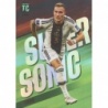 Offer Soccer Cards David Raum Supersonic Top Class 2023 Panini