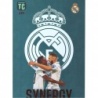 Venta Cromo Vinicius Jr / Karim Benzema Synergy Panini Top Class 2023