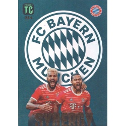 Eric Maxim Choupo-Moting / Serge Gnabry Synergy Bayern München 234