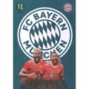 Comprar Trading Card Eric Maxim Choupo-Moting / Serge Gnabry Synergy Panini Top Class 2023