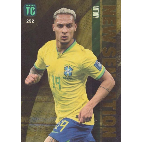 Antony New Sensation Brazil 252