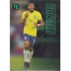 Bremer Brazil 11