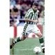 Luis Fernandez Betis 80 Megafichas 2002-03