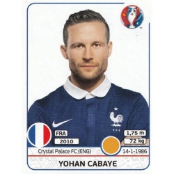 Yohan Cabaye France 29