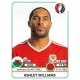 Ashley Williams Wales 182