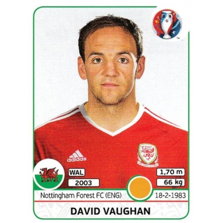David Vaughan Wales 189