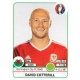 David Cotterill Wales 197