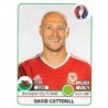 Sale Sticker of David Cotterill Wales Panini Euro 2016 France