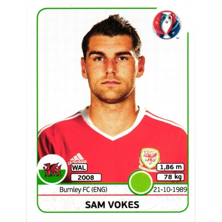 Sam Vokes Wales 199
