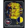 Buy Sticker Team Photo Ukraine Panini Euro 2016 France
