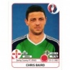 Sale Sticker of Chris Baird Northern Ireland Panini Euro 2016 Stickers