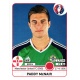 Paddy McNair Northern Ireland 333