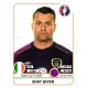 Shay Given Republic of Ireland 517