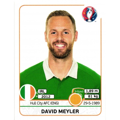 David Meyler Republic of Ireland 525