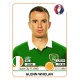 Glenn Whelan Republic of Ireland 530