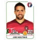 João Moutinho Portugal 589