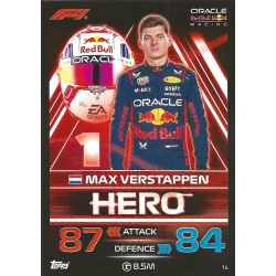 Max Verstappen - F1 Hero 14