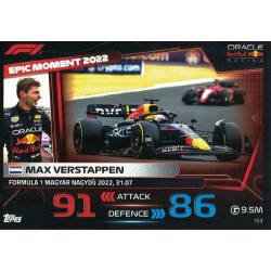 Max Verstappen F1 Epic Moments 163