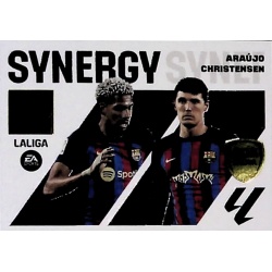 Araujo Christensen Sinergy