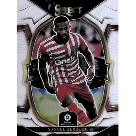 Yangel Herrera Terrace Girona 45