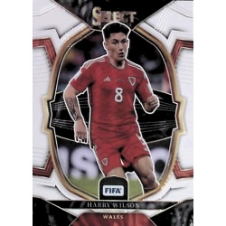 Harry Wilson Terrace Wales 75