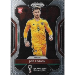 Joe Rodon Wales 300