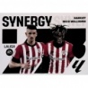 Offer Online Sancet / Nico Williams Synergy Liga Este 2023-24