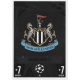 Club Badge Newcastle United 64