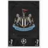 Comprar Cromo Club Badge Newcastle United Topps Match Attax 2023-24