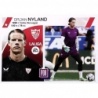 Sale Sticker Nyland Coloca Liga Este 2023-24
