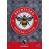 Sale Cards Club Crest Brentford Panini Adrenalyn XL Premier League 2023/24