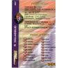 Emblem Valladolid 307 Megacracks 2003-04