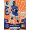 Offer Soccer Cards Idrissa Gana Gueye World Class Adrenalyn XL Premier League 2024