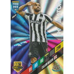 Callum Wilson Dominator Newcastle United POW 44