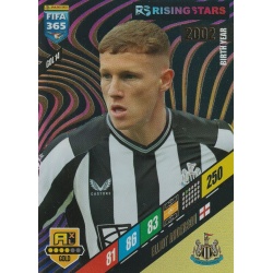 Elliot Anderson Rising Star Newcastle United GOL 14